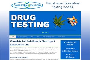 Website Development Complete Lab Solutions