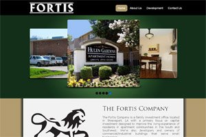 Web Development The Fortis Company